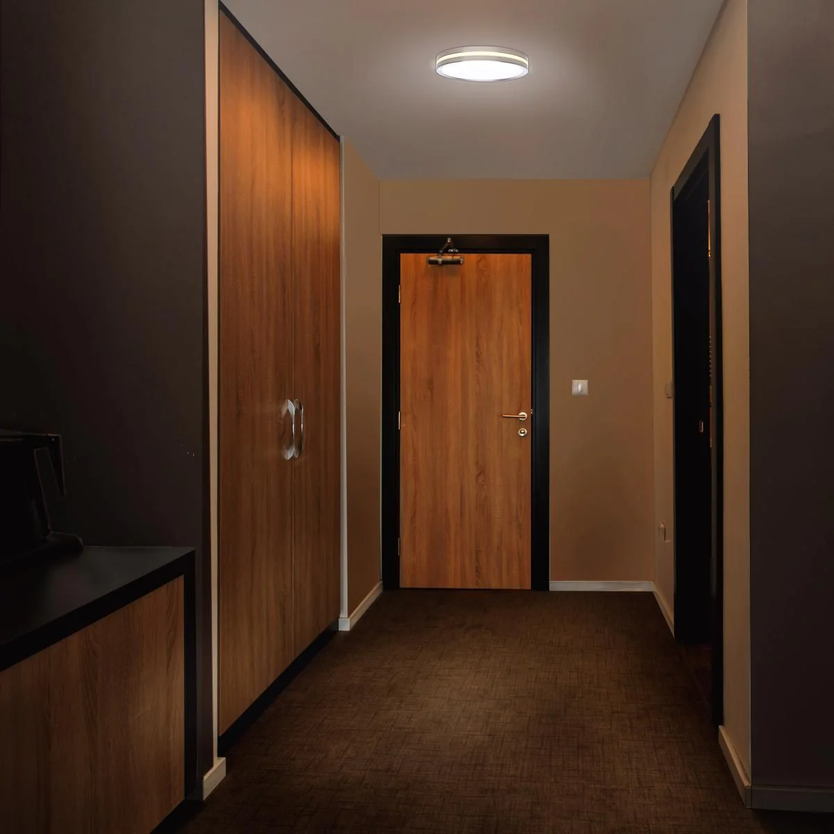 15 Inch Surface Mount with Night Light; 5 CCT Selectable - Image 2