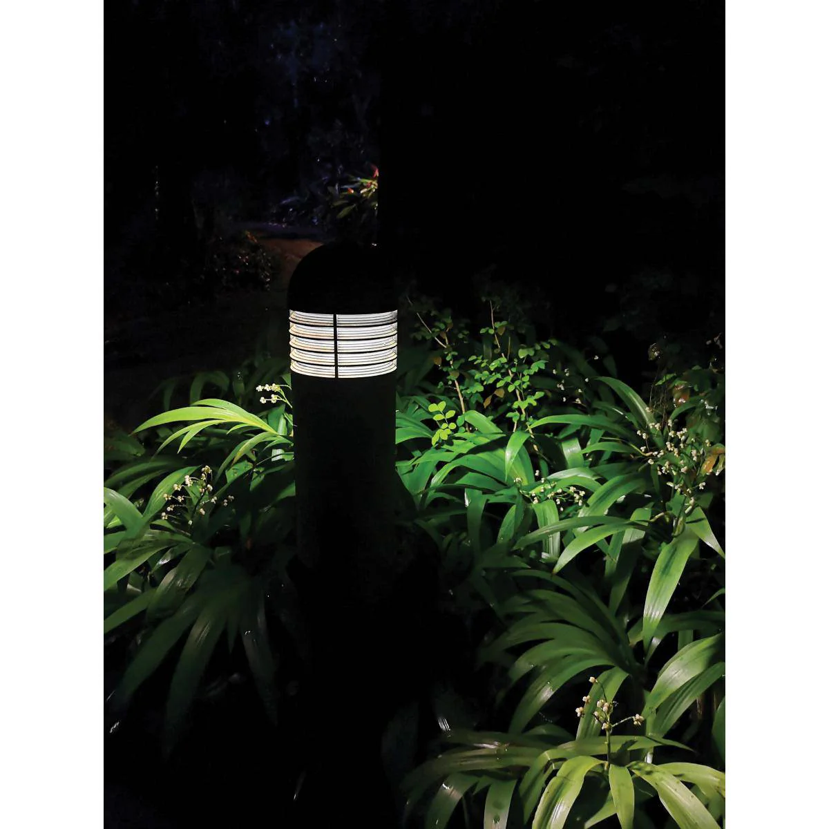 35 Watt; A-Plus 28; LED; CCT Selectable and Wattage Selectable; Extended Mogul base - Image 3